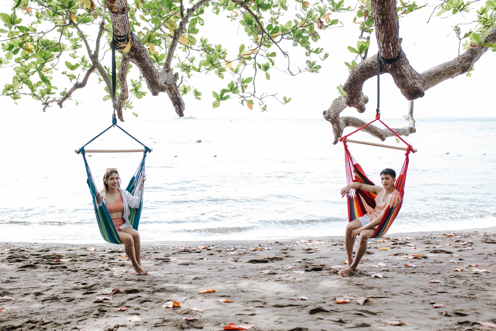 adultes dans des chaises hamac au bord de mer