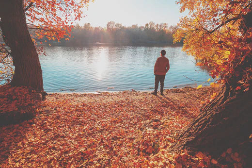 Homme au bord d'un lac en automne par une belle journée ensoleillé