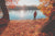 Homme au bord d'un lac en automne par une belle journée ensoleillé